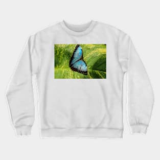 ali almost perfect Crewneck Sweatshirt